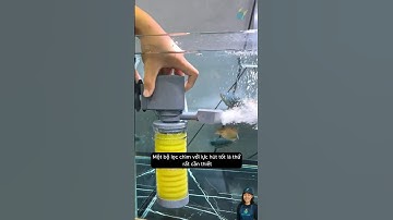 Bộ lọc đa năng hút sạch rác bẩn và tạo oxy | Multi-function submersible filter #aquarium #shorts