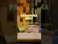 Pandoroma Dergi | Edebiyat Kültür Yaşam | Mevsimlik Online Edebiyat Dergisi | #edebiyat #dergicilik