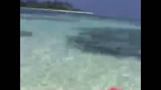Maldives Highlights