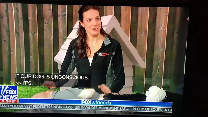 Rachel Bowers, Brooklyn Bark, on Fox and Friends