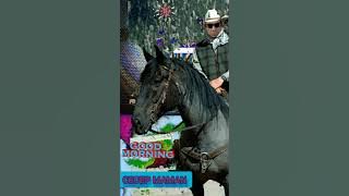 Jangan Pernah Berkata Benci, Musik country By.Tantowi Yahya💗🌹👍