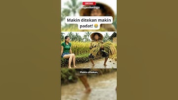 Kakek Hujan vs Bundelan Padi #kakekhujan #lucu #dialogambigu #komedi #kakekhujanvibes  #rain #memes