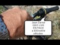 PMR 446 EN VTT NICE ANTIBES