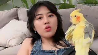MITA MAINAN BURUNG E FEBRIAN IQBAL 😅