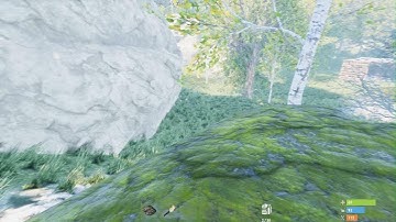 Rust Body glitches into rock bug