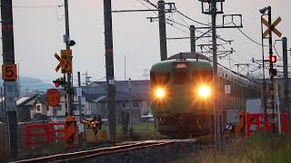 【完全フリー素材】113系L16+C17編成 普通 貴生川→甲南