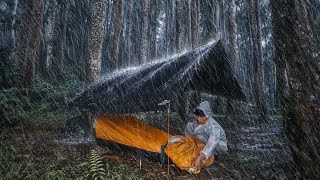 SOLO CAMPING IN HEAVY RAIN ☔️ COMFORTABLE AND RELAXED IN MY LITTLE TENT ⛺️ ASMR RAIN FOR DEEP SLEEP