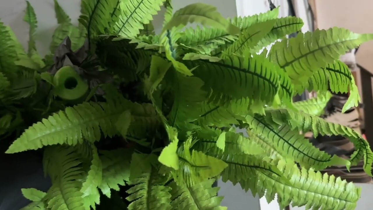 Artificial Boston Fern Bush - Set of 2 45Inch Fake Ferns Watch this First! #ad #amazoninfluencer