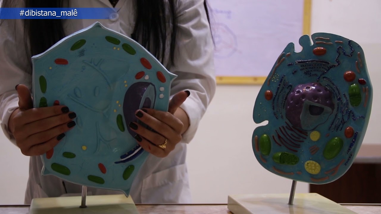 Refa7 _ Zanarî _ Beşa1 şane 2