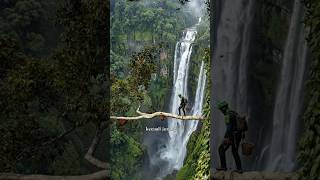 One Step Away From Death,For a Drop of Wild Honey #altitude #wildhoneyhunting #extremenature #fyp