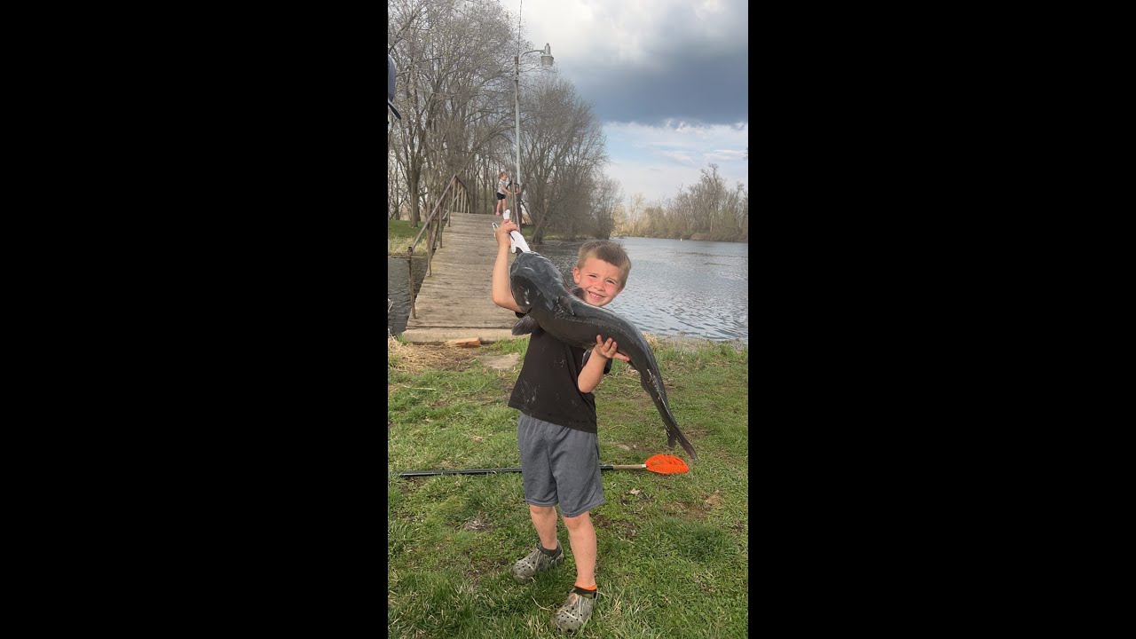 Guard Dog contest Oakley just 6 years old working the Guard Dogs like a PRO! YouTube