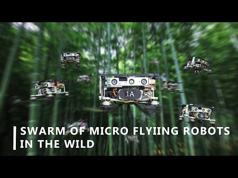 Swarm of Micro Flying Robots in the Wild [All]