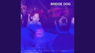 Video thumbnail of "Bridge Dog - Counterweight"