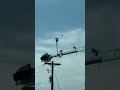 spruce grove / stony plain latest air camera 6 1/2 demerits in effect