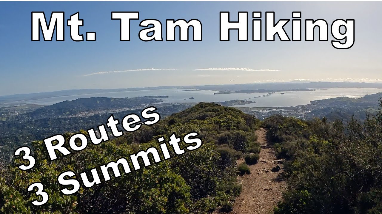 Mt. Tam Hiking - 3 Summits Via 3 Different Routes in a Day!