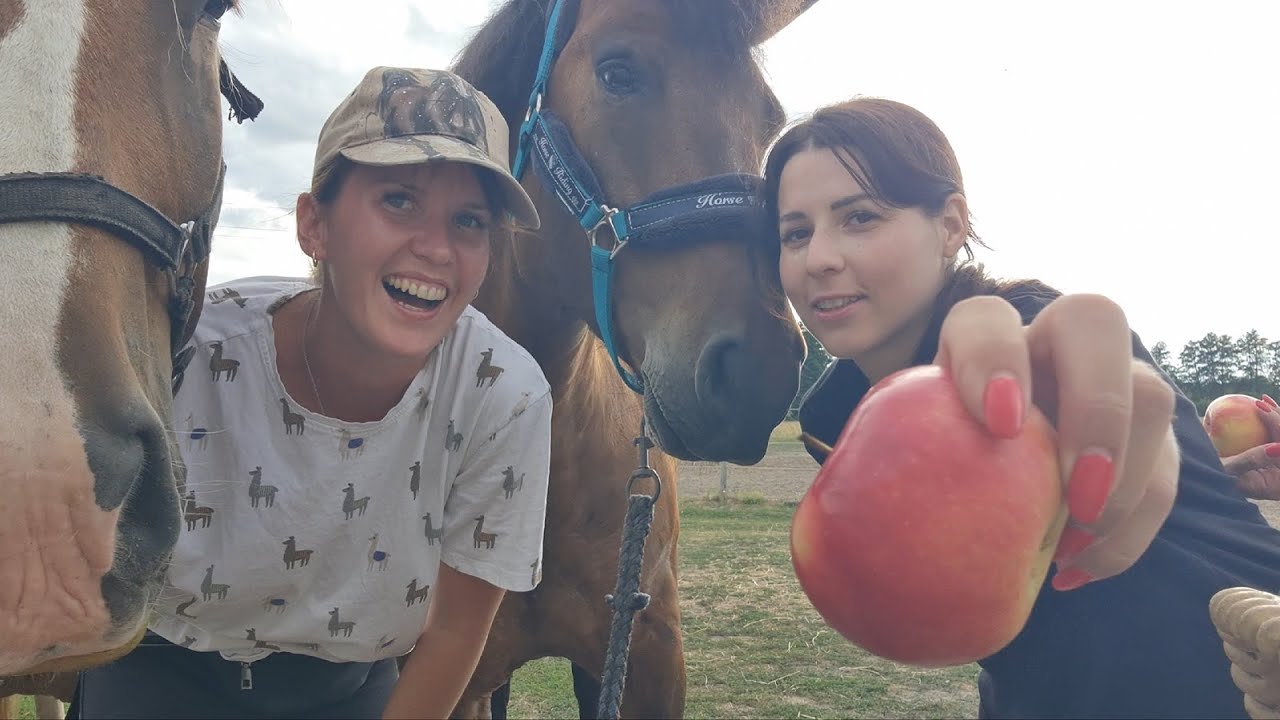 Naše letné dni na koňoch, nová sedlovňa, vychádzka a trolie sople