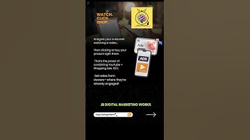 Google Video and Shopping Ad Networks