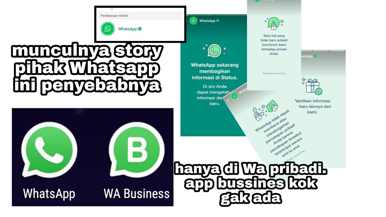 trending status WHATSAPP muncul di semua pengguna ini alasannya