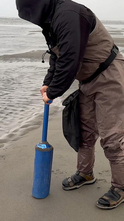 Razor Clam Adventure (NEW) – Wild Food Adventures