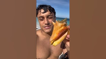 EATING A CONCH