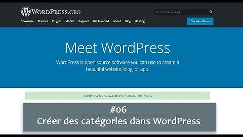 #06 Créer des catégories dans WordPress: Travaux pratiques