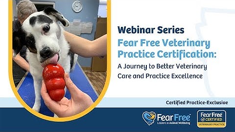 Fear Free Veterinary Practice Certification:  A Journey to Better Veterinary Care