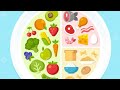 Biology # Science # Nutrition in Animals -I #CAPF#CDS/CAPF/AFCAT