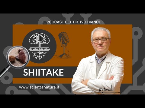 Video: Shiitake: Proprietà, Trattamento, Recensioni, Contenuto Calorico, Vitamine