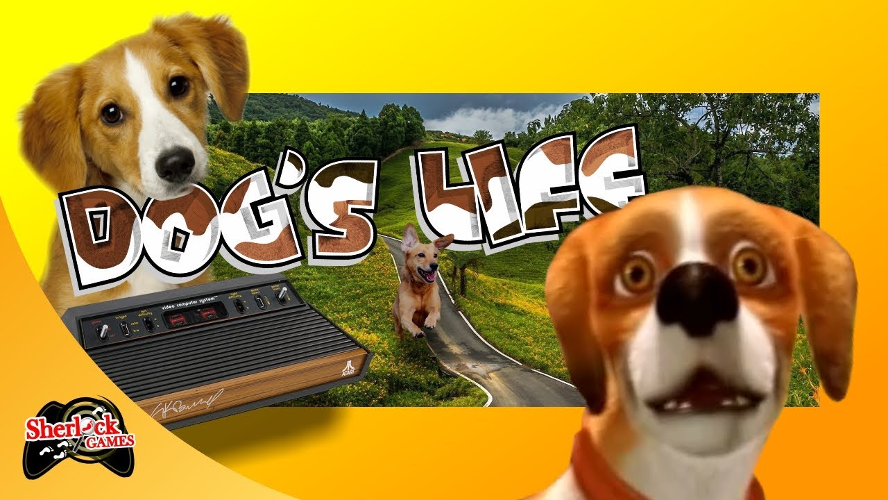 Resumo do Game 39 DogS Life [PS2] YouTube