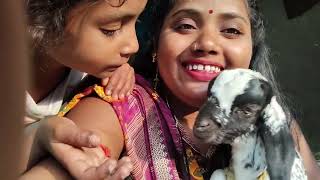 वंदना सुपरहिट 2 ब्लॉग🪔 लाल धागे वाले बाबा की आरती करने से जल्दी आशीर्वाद मिलेगा🪔🙏🙏 खुश रहने से कृपा 