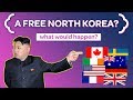 What if North Korea Became Democratic?