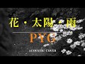 【井上堯之さん追悼】『花・太陽・雨』(Full Acoustic) / PYG(沢田研二 萩原健一 大野克夫 井上堯之 岸部一徳) Cover(歌詞付き) by デヴィッド健太