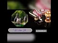 آيات من سورة يوسف للقارئ عبد الحكيم الجزائري