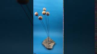 Wind Stones Sound, Maine Musical Sculpture Turn It Up