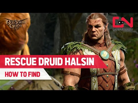 How to Rescue Druid Halsin in Baldur's Gate 3 - Talk to Zevlor