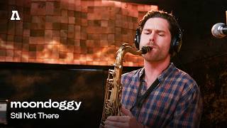 moondoggy - Still Not There | Audiotree Live