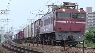 【JR貨物】遅５９レ ＥＦ８１-４０６ 大型コンテナ多数積載