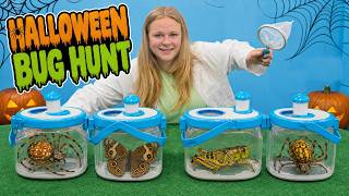 assistant searches spiders bugs her halloween fort