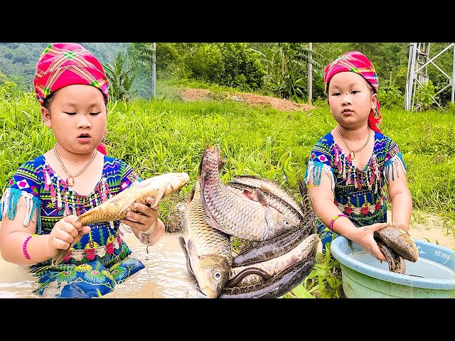 The poor girl caught many fish in the puddle, carp and fish weighing 2kg were for sale class=