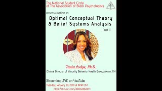 Optimal Conceptual Theory & Belief Systems Analysis (BSA) | (part 1)