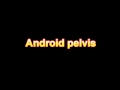 What Is The Definition Of Android pelvis Medical Dictionary Free Online