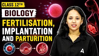 Class 12 Biology | Fertilisation, implantation and Parturition for Board Exam 2026-27