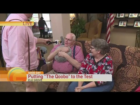 Qoobo In North America Pt 2