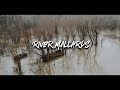 Duck Hunting- "River Mallards"