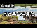 弥生時代、日本の生活。水田と共に生きた時代、人々はどのように暮らしたのか?