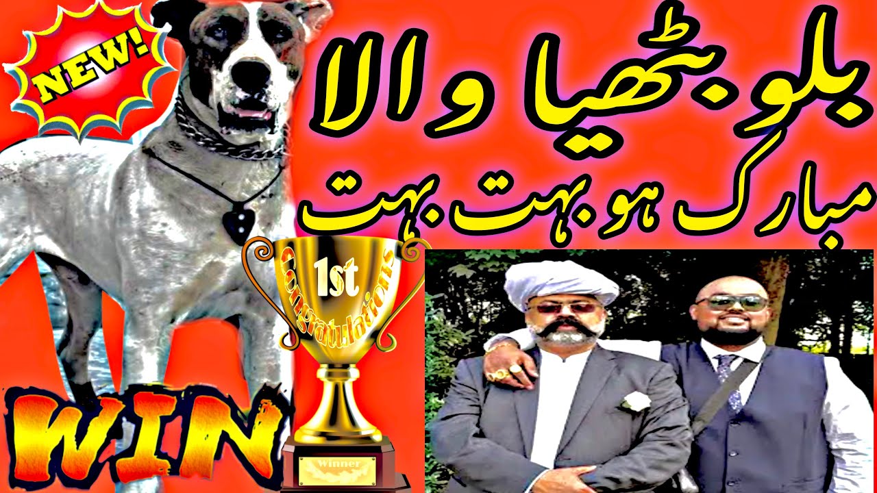 آج کا بیسٹ جوڑ / بلو بٹھیا والا نے پورے شکار کا دل جیت لیا || BUHT BUHT MUBARAK ❤️ HO PURE GROUP KO🏆