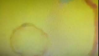 IMG 1664
