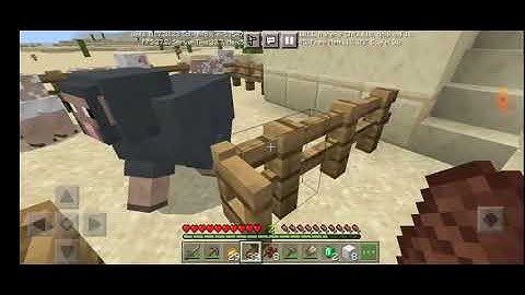 the traveling trader any% speedrun (23:42)