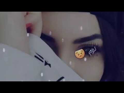 يردون حالات واتساب #المـطــراوي