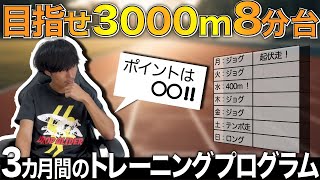 【最新】3000m8分台のトレーニングプログラム